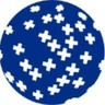 First Advantage Corporation logo