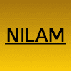 Nilam Resources Inc. logo